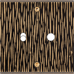 Switch plate Fascination...