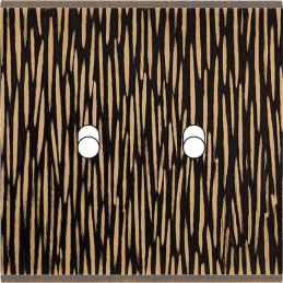 Switch plate Fascination...