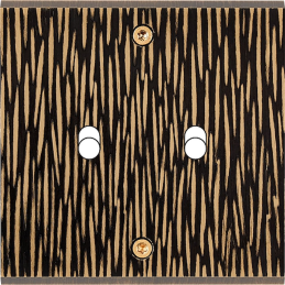 Switch plate Fascination...