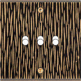 Switch plate Fascination...