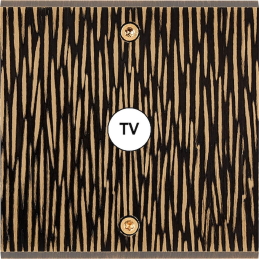 Switch plate Fascination...