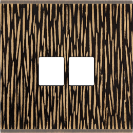 Switch plate Fascination...