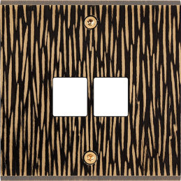 Switch plate Fascination...