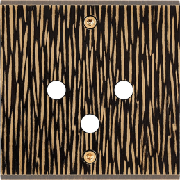 Switch plate Fascination...