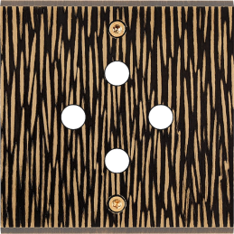 Switch plate Fascination...