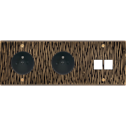 Switch plate Fascination...