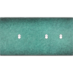 Placa del interruptor...