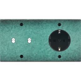 Switch plate Fascination...