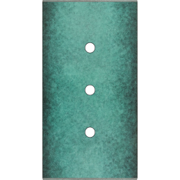 Placa del interruptor...