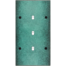 Placa del interruptor...