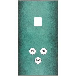 Placa del interruptor...