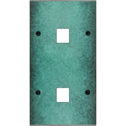 Switch plate Fascination...