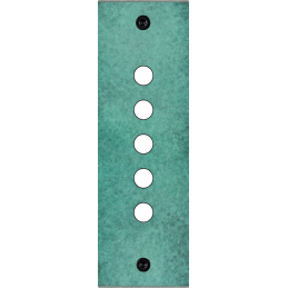 Placa del interruptor...