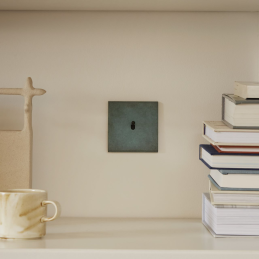 Placa del interruptor...