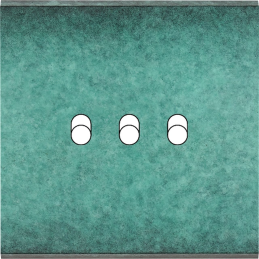 Placa del interruptor...