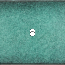 Placa del interruptor...