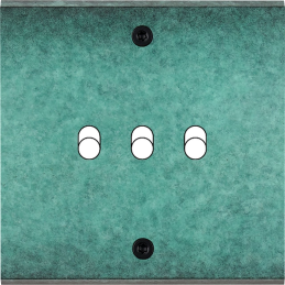 Switch plate Fascination...