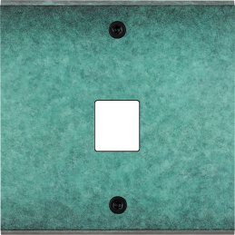 Placa del interruptor...