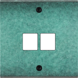 Placa del interruptor...