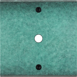 Placa del interruptor...