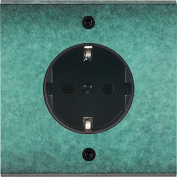 Switch plate Fascination...
