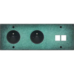 Placa del interruptor...