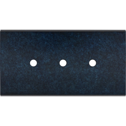 Placa del interruptor...