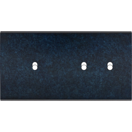 Placa del interruptor...