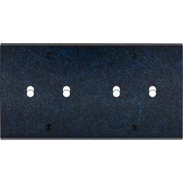 Placa del interruptor...