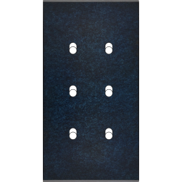 Placa del interruptor...