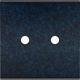 Placa del interruptor...