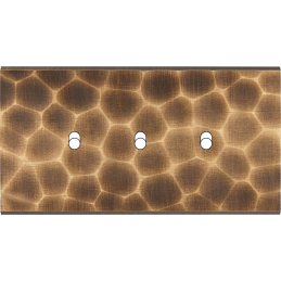 Placa del interruptor...