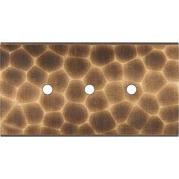 Switch plate Fascination...