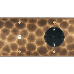 Placa del interruptor...