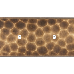 Placa del interruptor...