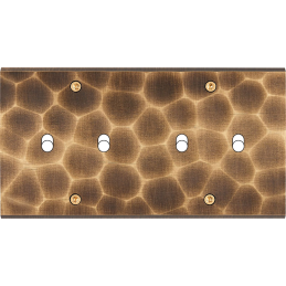 Placa del interruptor...