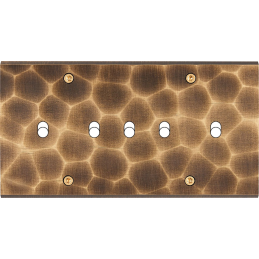 Placa del interruptor...