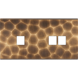 Placa del interruptor...