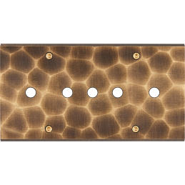 Placa del interruptor...