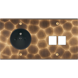 Placa del interruptor...