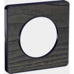Schneider Odace Touch plate...