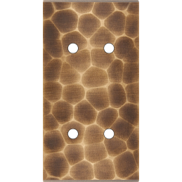 Placa de interrutor...