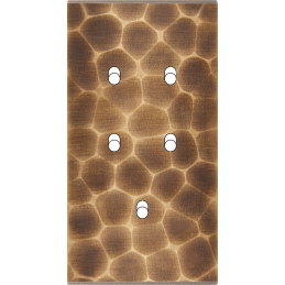 Façade Fascination laiton...