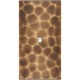 Switch plate Fascination...