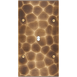 Placa de interrutor...