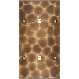 Switch plate Fascination...