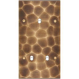 Placa de interrutor...