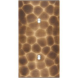 Placa de interrutor...