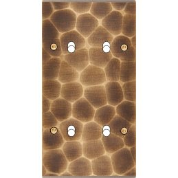 Placa del interruptor...