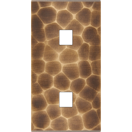 Placa del interruptor...